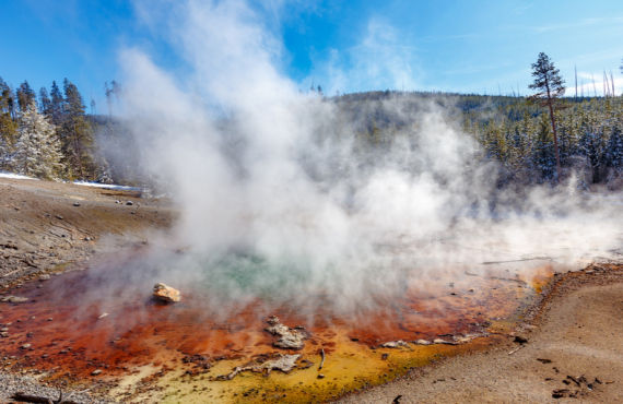 Visiter le parc de yellowstone le guide ultime