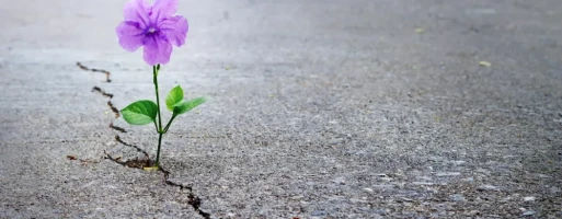 Recovery, driven by resilience