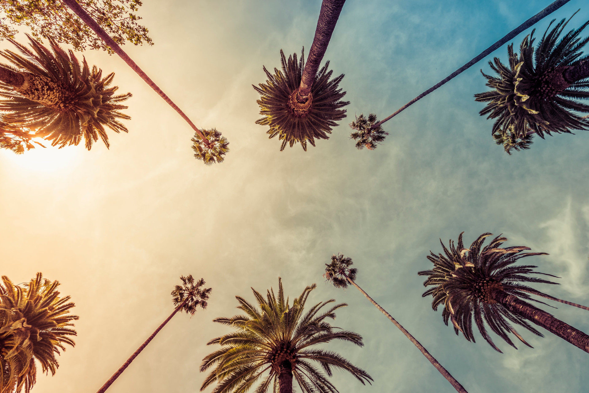 Car rental in the USA