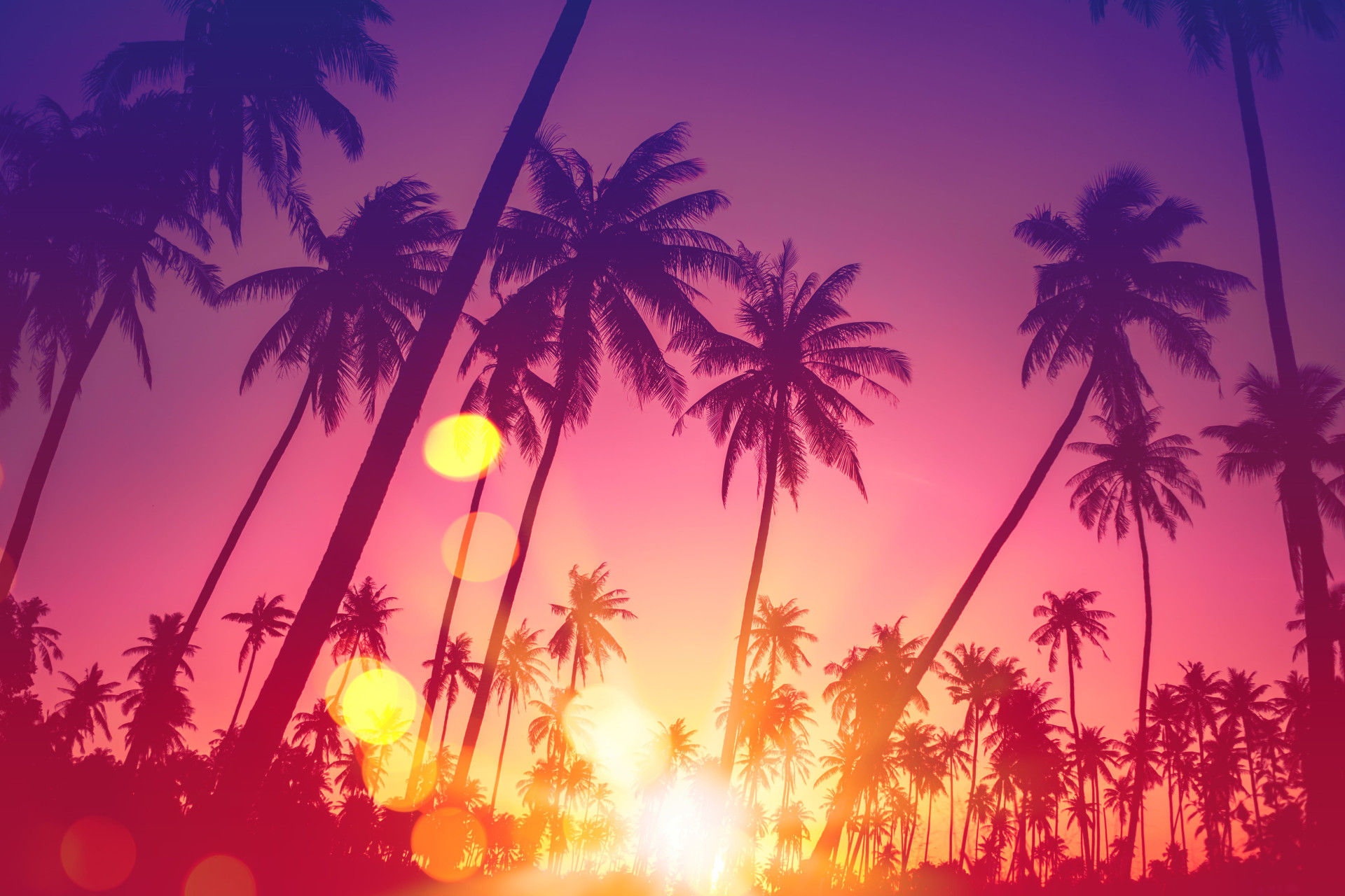 Car rental in the USA