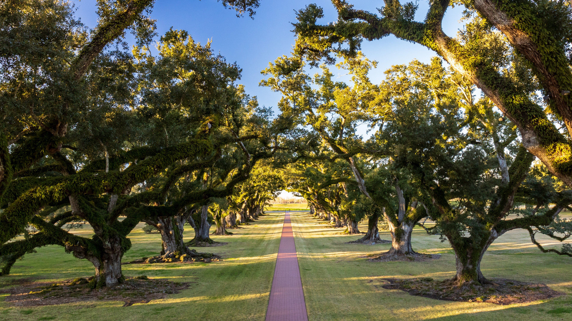 Location de camping-car aux USA
