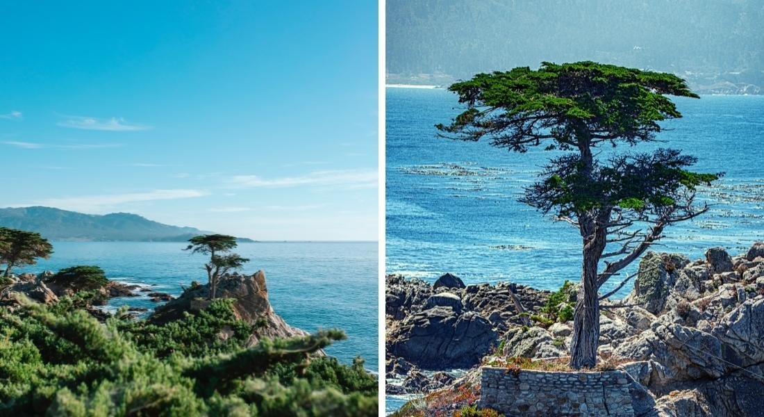 17 mile-drive monterey