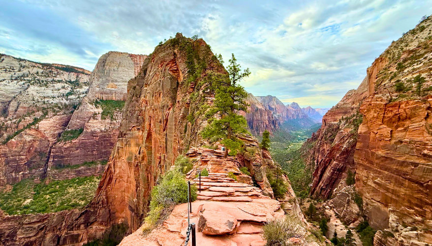 Angels Landing View of the dizzying trail across the red rocks.