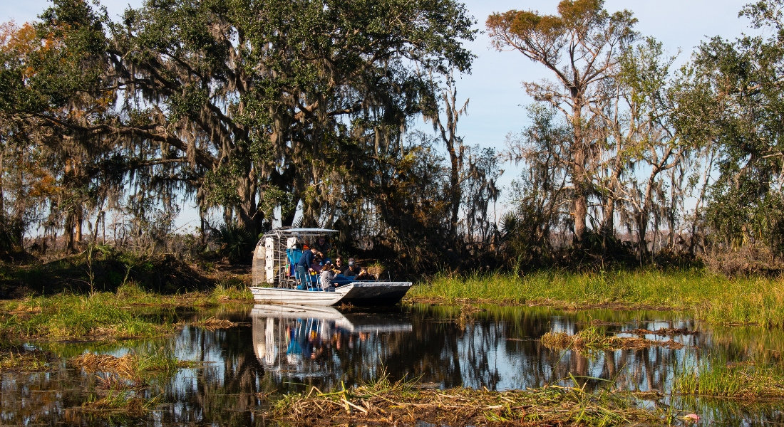 Balade en airboat dans les marais de Louisiane