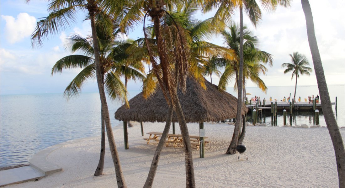 Beach with palm trees in Islamorada in the Keys