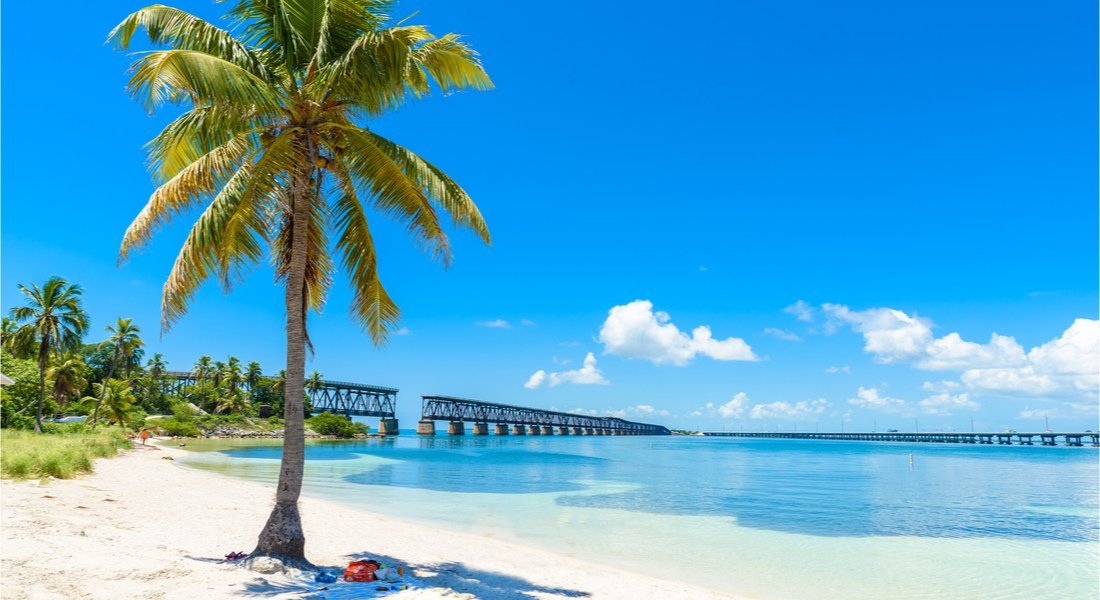 Calusa Beach with a palm tree and a view of the old bridge