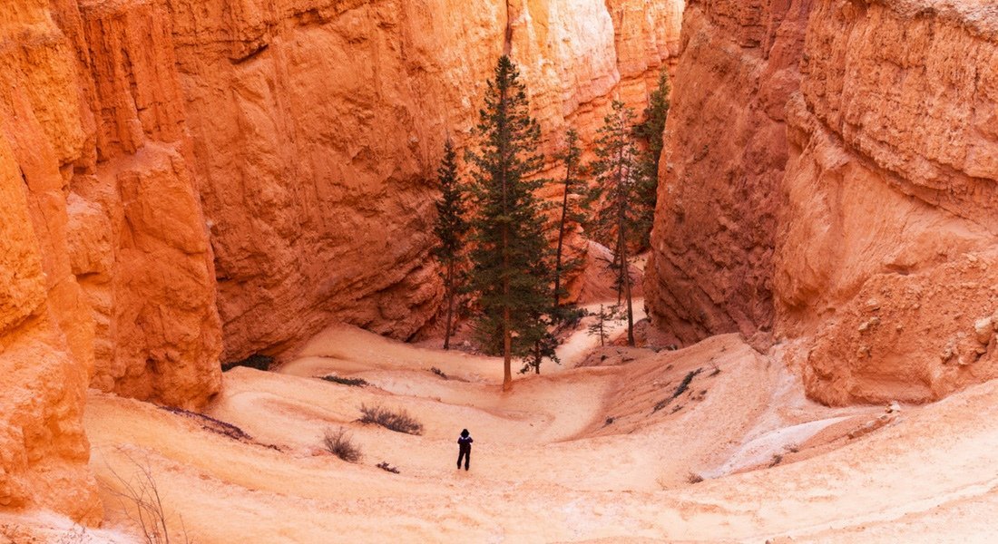 Lacets du sentier de Navajo Loop 