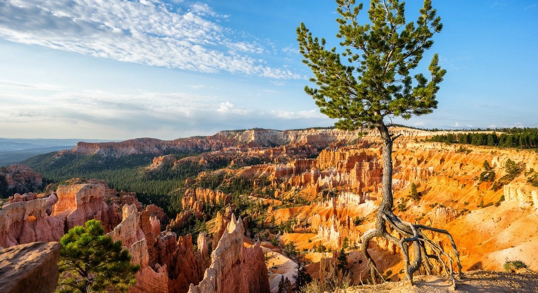 Quoi visite à Bryce Canyon