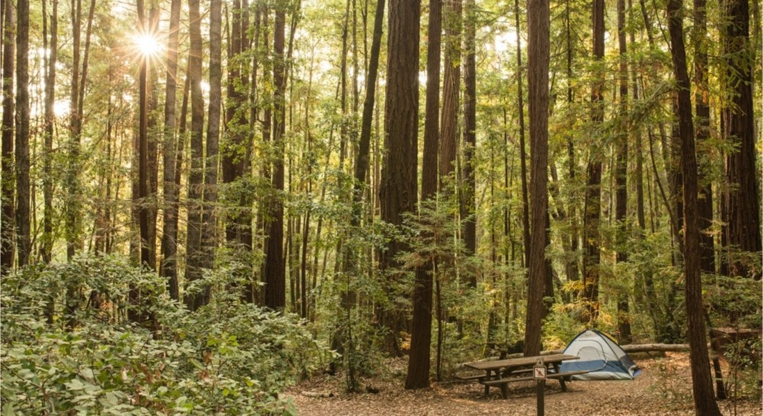 California west coast campground