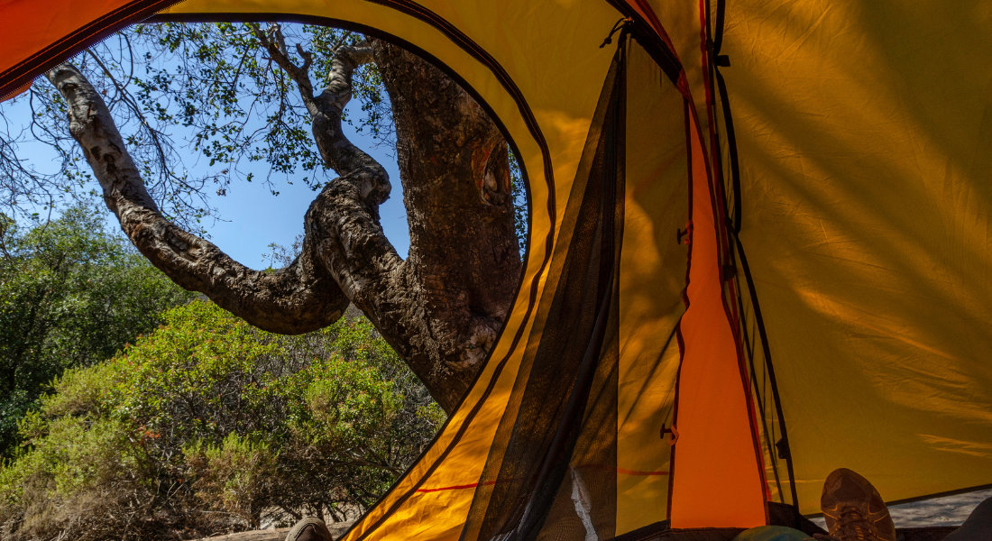 nature camping in the American west