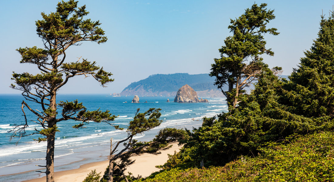During winter and spring migrations, it’s possible to spot gray whales from the cliffs Shot of the wild Cannon Beach under the sun