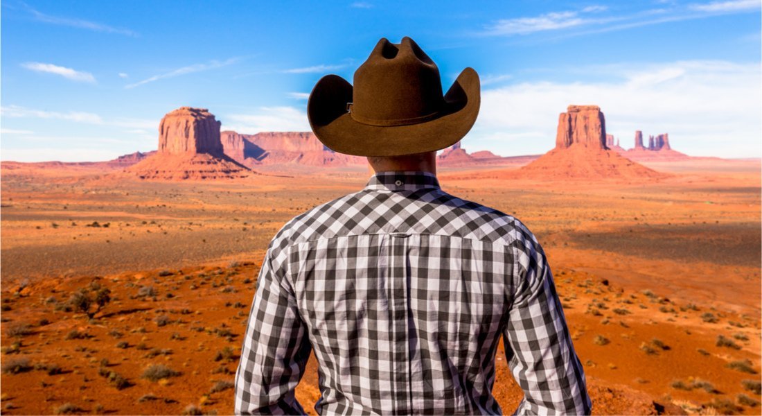Cowboy regardant les paysages de l'Ouest américain en fond
