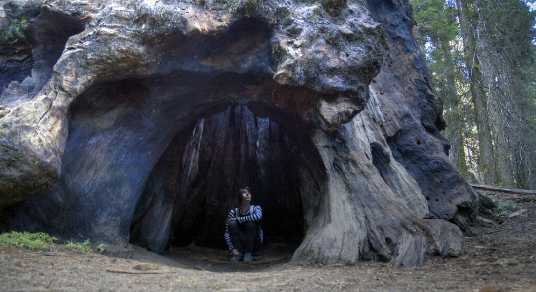 best trails in sequoia park
