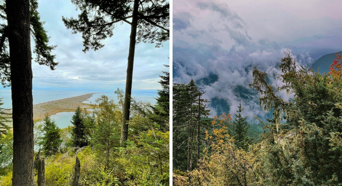 Road trip olympic national park Dungeness Spit et Hurricane Ridge dans le parc national Olympic