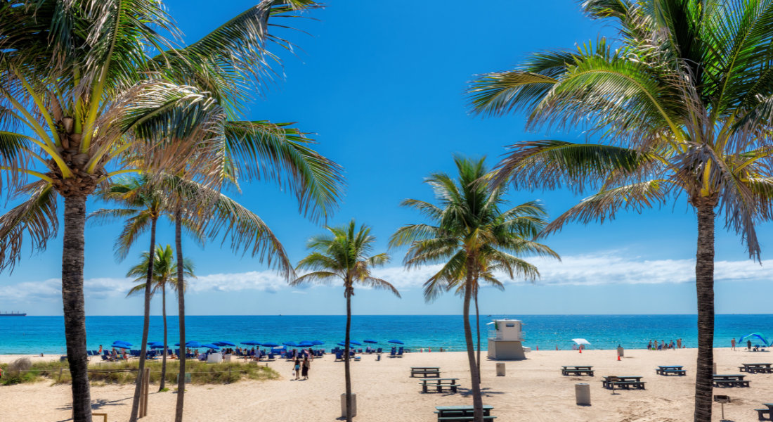 Plage de rêve et cocotiers en Floride sous le soleil