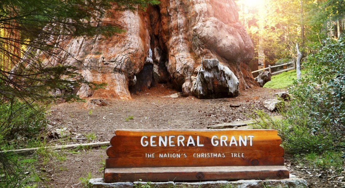 general grant sequoia