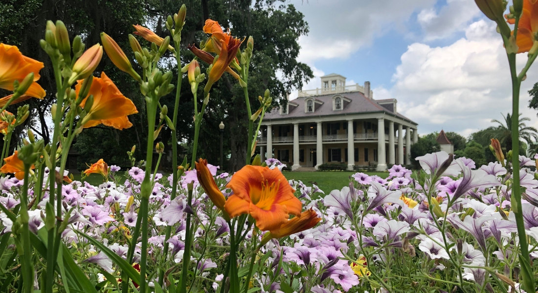 Ancienne plantation louisianaise avec fleurs colorées au premier plan