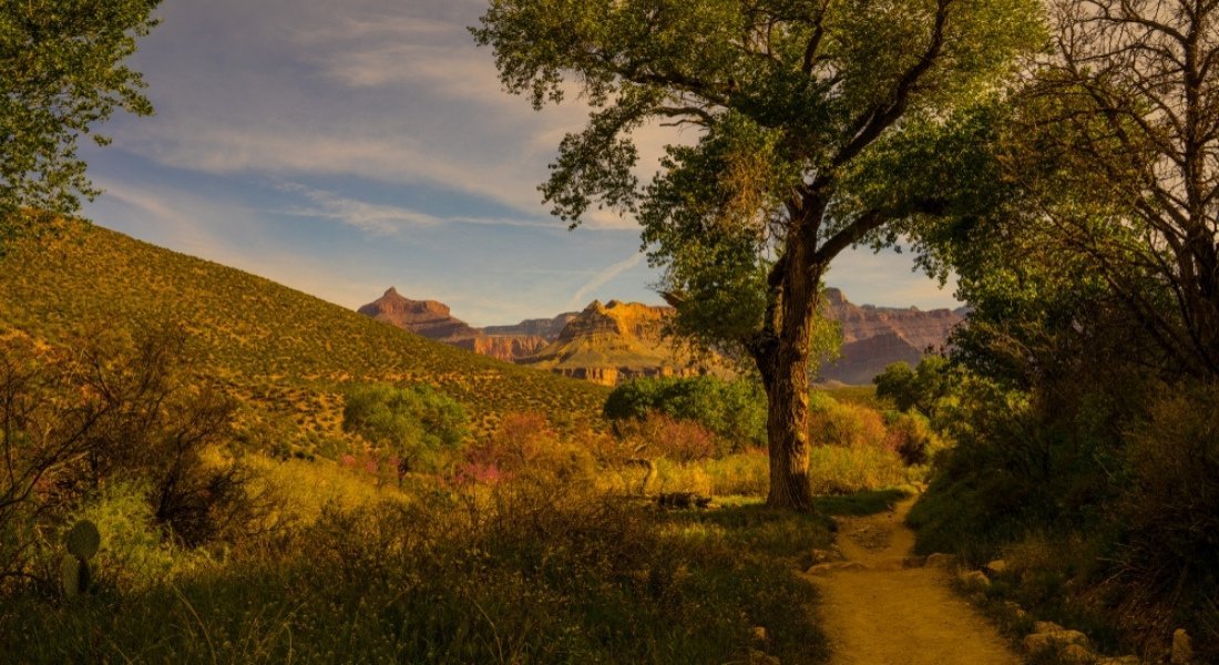 South Rim Bright Angel Trailhead jusqu'à Indian Garden campground