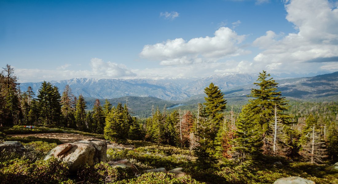 Paysage Kings Canyon