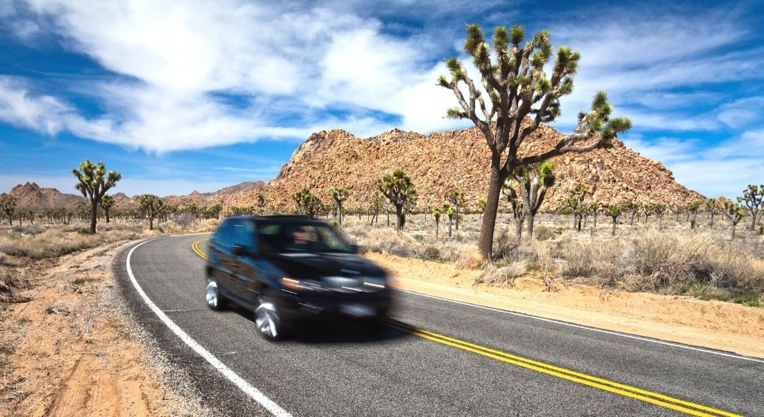 California rental car driving in Joshua Tree Park