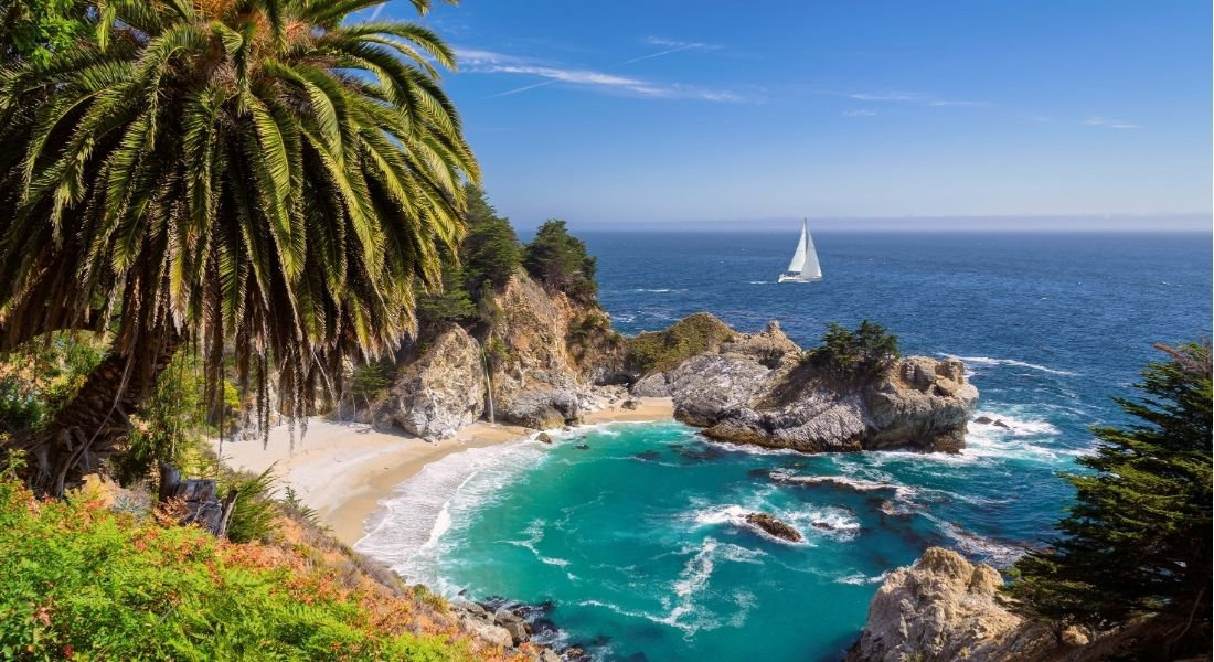 McWay Falls à Big Sur dans l'Ouest américain Plage et cascade avec un palmier au premier plan et un voilier en fond