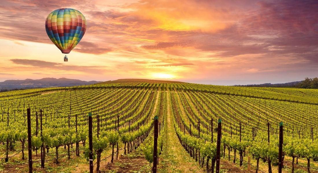Vol en mongolfière au dessus de la Napa Valley Montgolfière survolant la Napa Valley au coucher du soleil