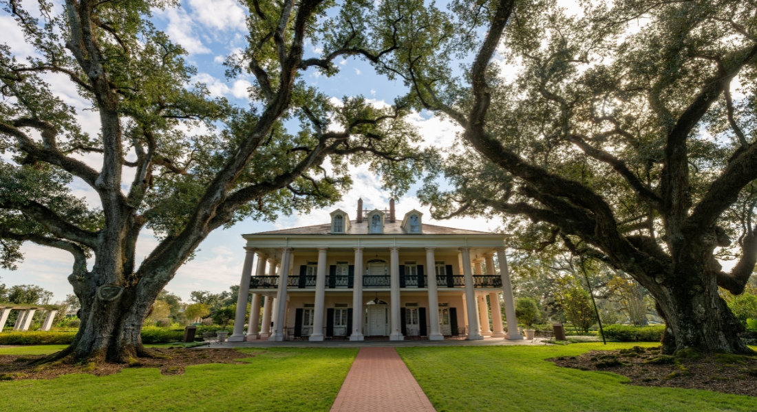 Allée de chênes menant à la Oak Alley Plantation en Louisiane
