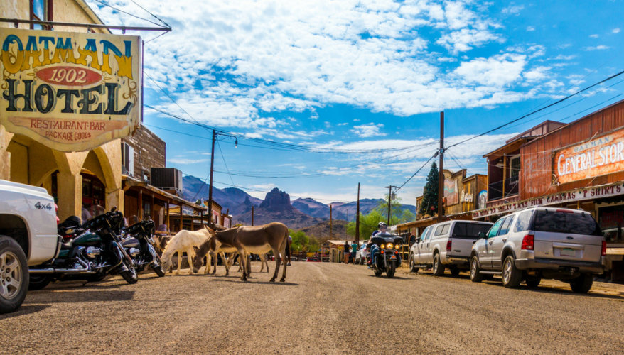Oatman, le village Far West de la Route 66 Ânes en liberté dans les rues de la ville historique d'Oatman sur la Route 66