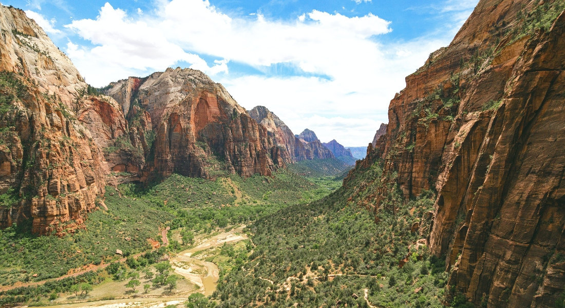 Observation Point in Zion National Parc