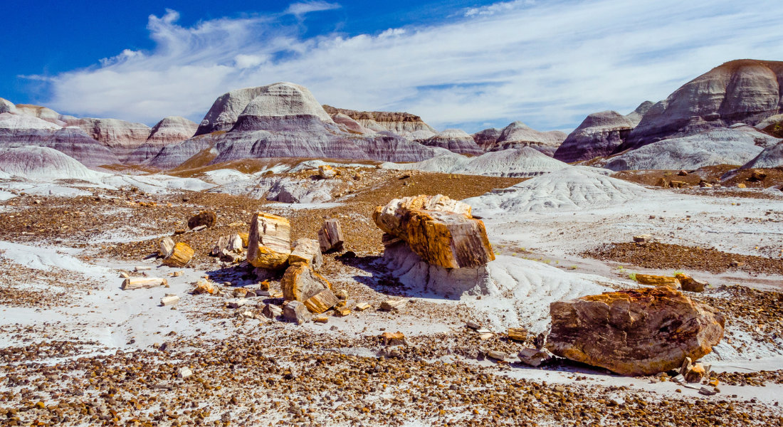 Parc national de la Forêt Pétrifiée Bois fossilisé au parc national de la Forêt Pétrifiée