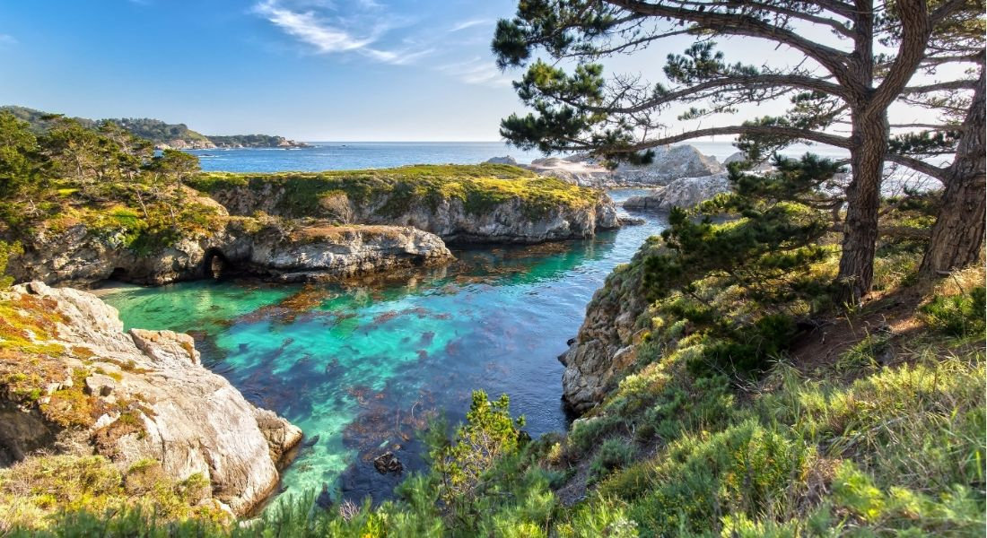 Point Lobos en Californie Petite crique à l'eau turquoise avec un cyprès au premier plan