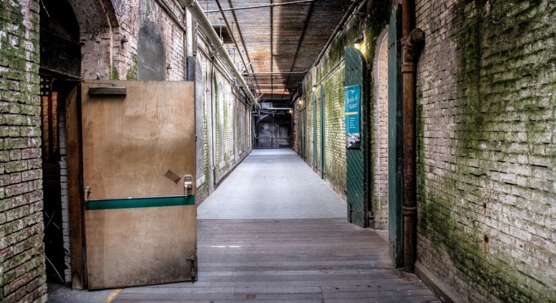 visiter alcatraz