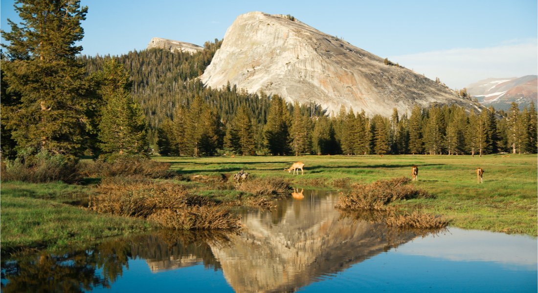 @Anastassiya Bornstein - shutterstock_1667423344 View of Lembert Dome reflected in the water