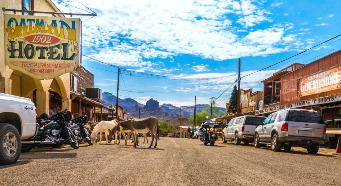 Wild Burros à Oatman sur la Route 66