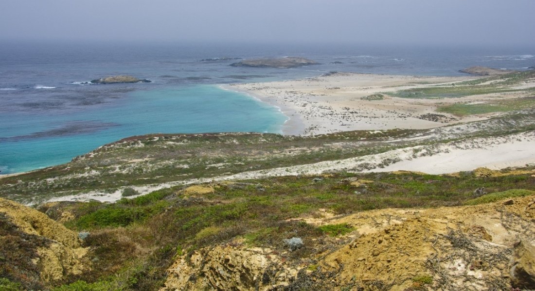 Quand visiter les Channel Islands en Californie