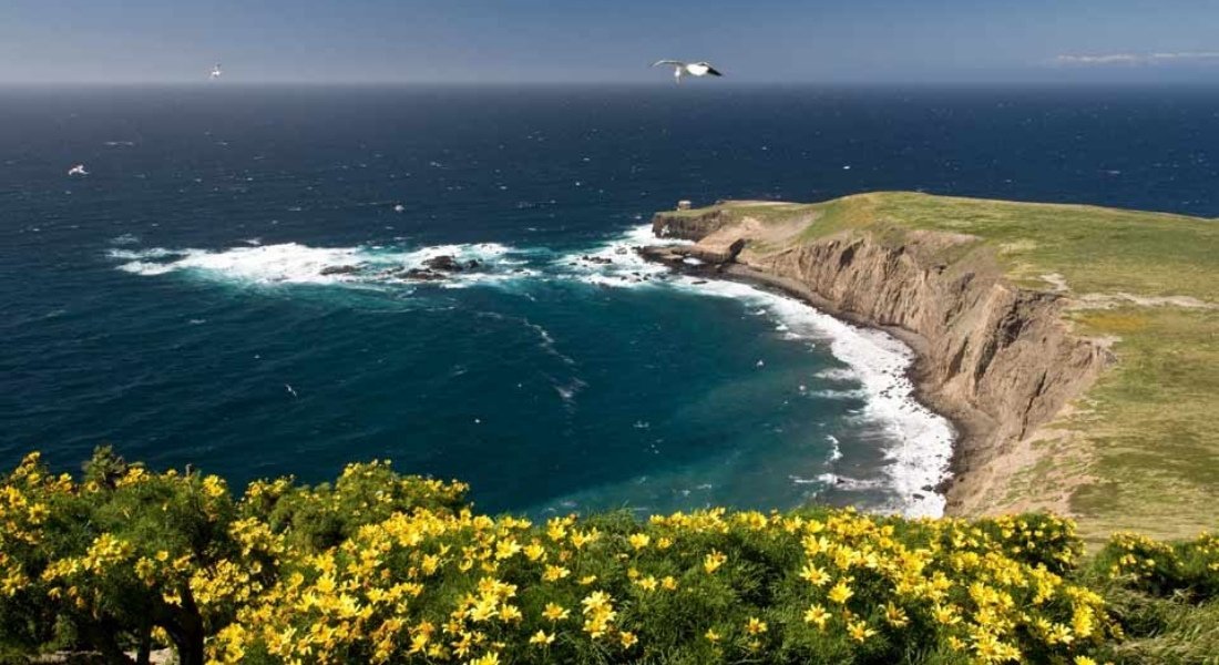 Quoi faire au parc des Channel Islands Californie