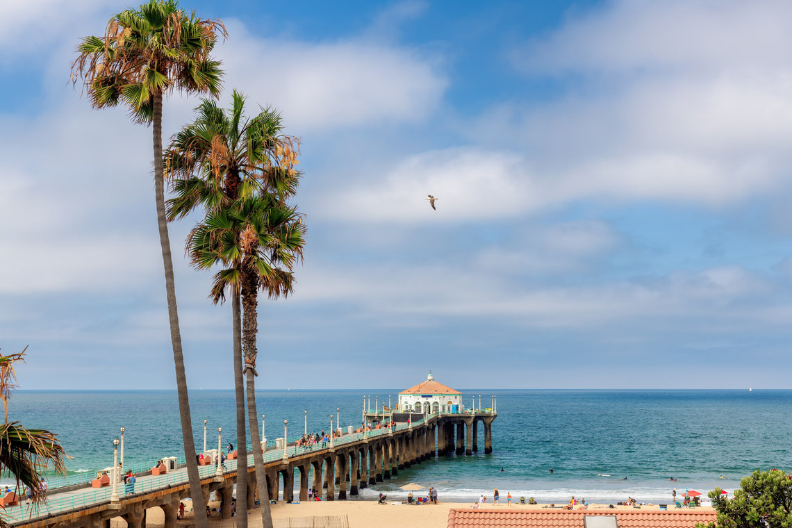 Manhattan Beach Manhattan Beach Pier lined with palm trees on the California coast