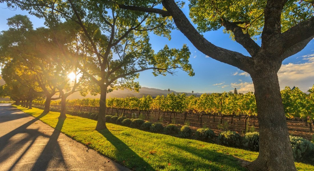 Silverado Trail Silverado Trail et ses vignobles