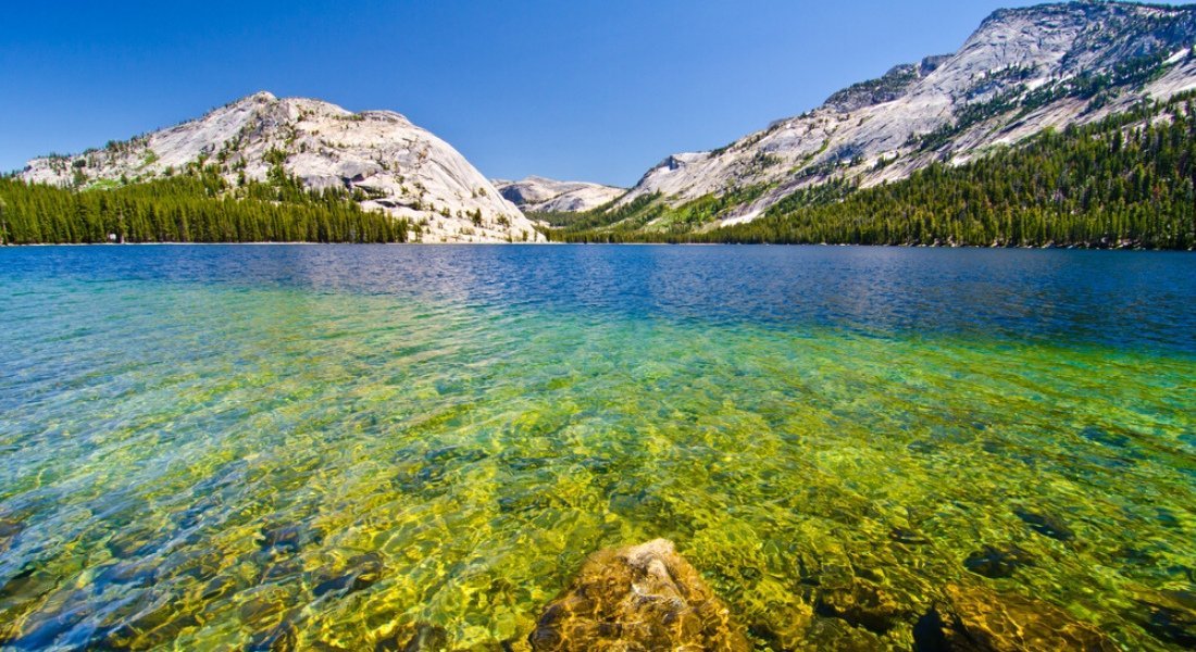 Shutterstock-140892244 @Robert Bohrer lac tenaya yosemite