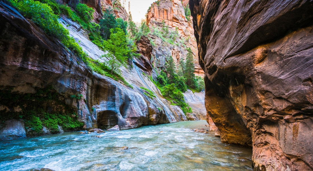 Ready for adventure? Top Down hike following the Virgin River through the canyon