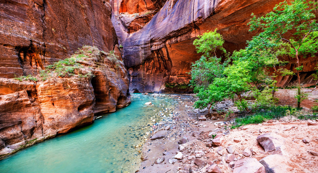 Magnificent contrast between the blue water and the red rocks Turquoise water at the bottom of the canyon in Zion National Park