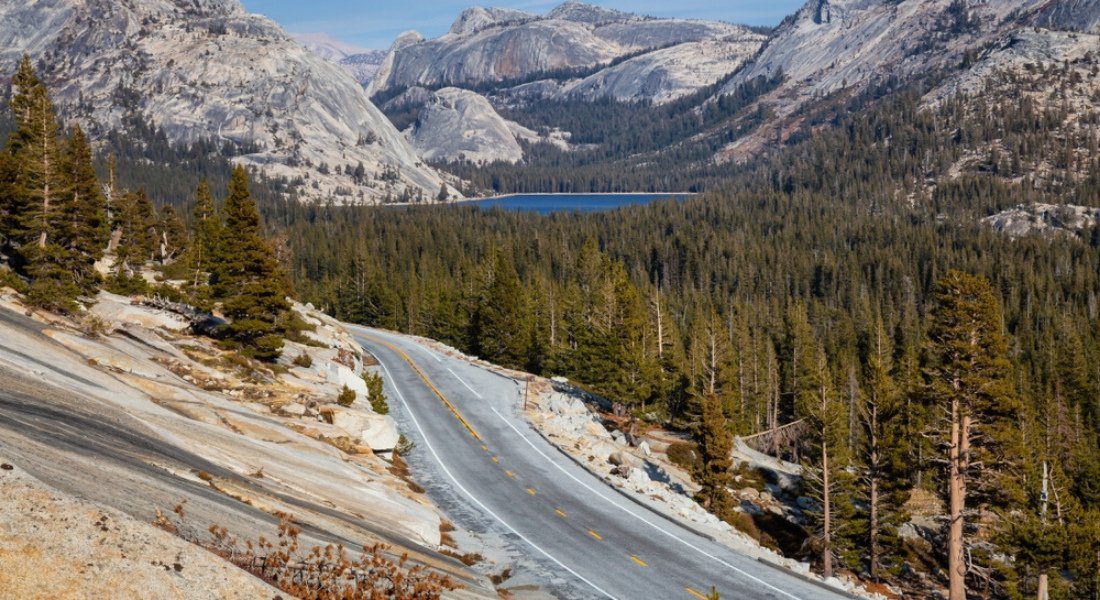 tioga road mai