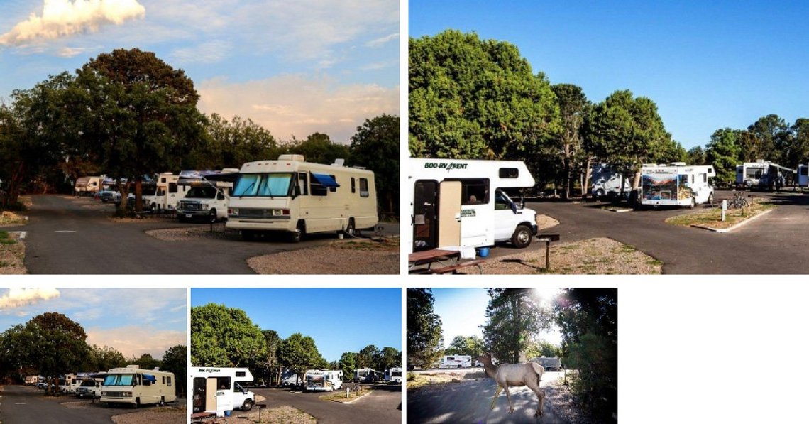 campings parcs nationaux USA