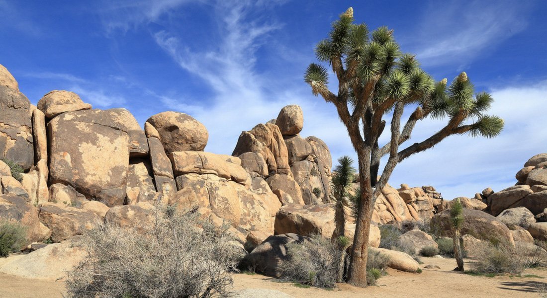 grands parcs en californie
