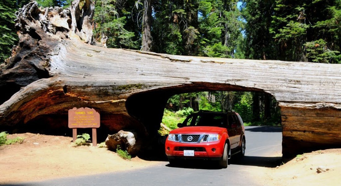 what to see in Sequoia NP