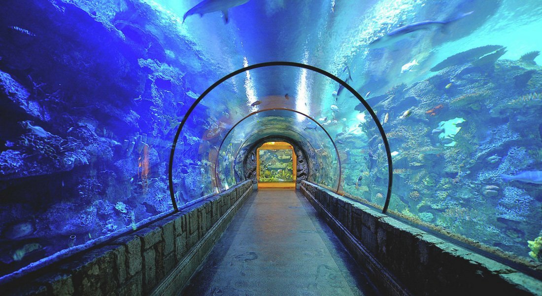 family activities las vegas