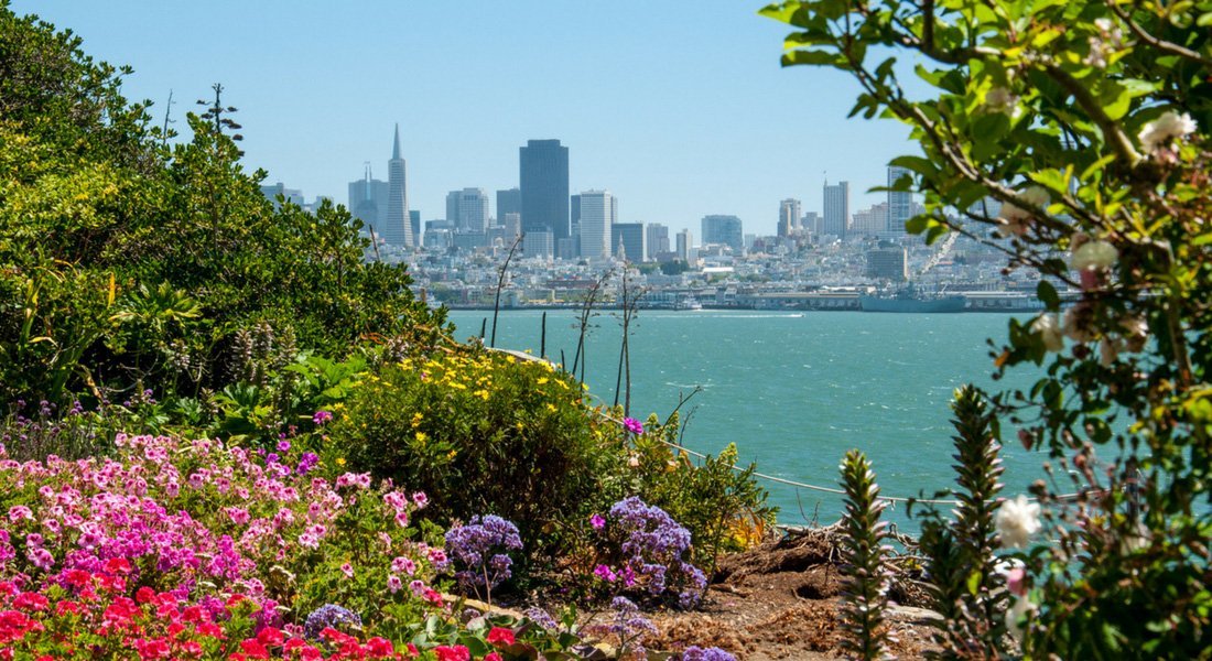 visite prison alcatraz jardins et vue san francisco