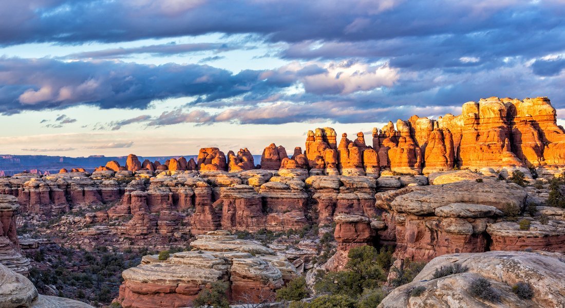 Vue sur Elephant Canyon situé dans le secteur des needles 