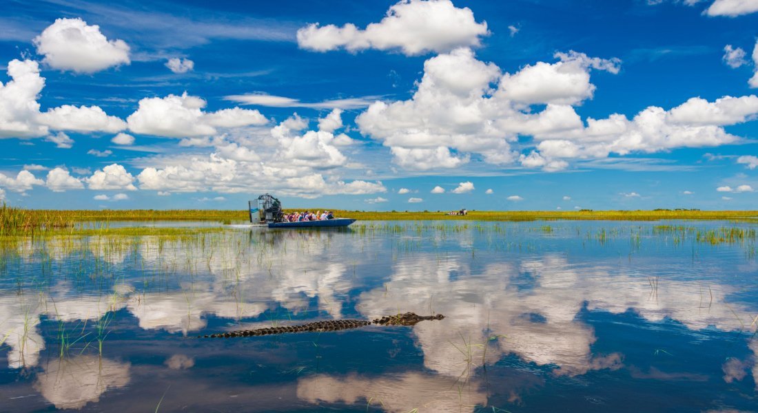 @allouphoto - Shutterstock_1569511462 Airboat dans le parc des Everglades