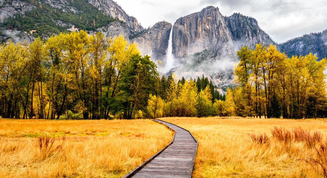Parc National de Yosemite Journée d'automne brumeuse au Parc National de Yosemite